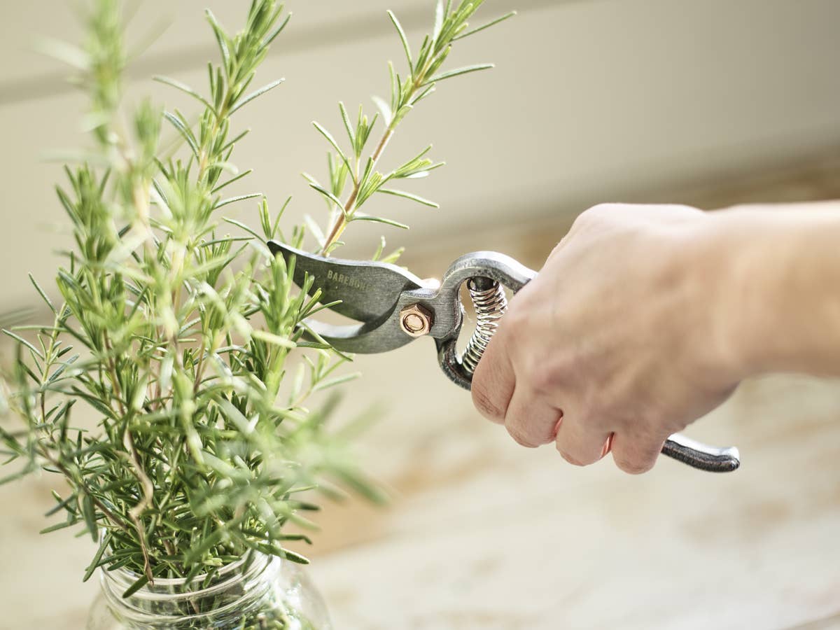 Garden Pruner