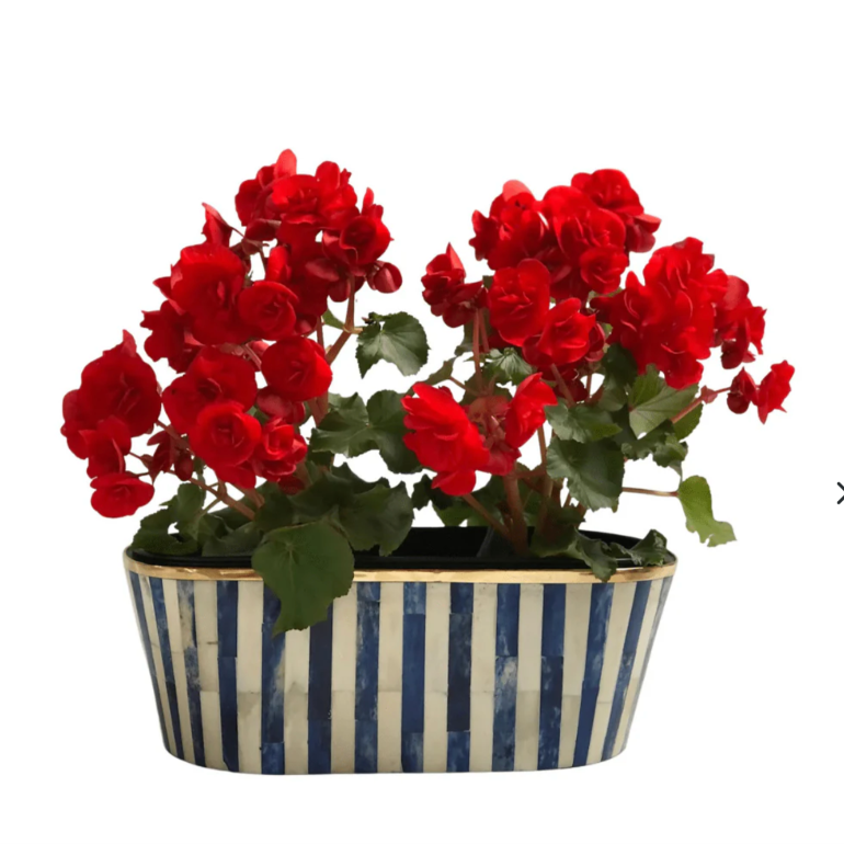 Oblong Inlay Planter - Large - Navy Blue - Striped