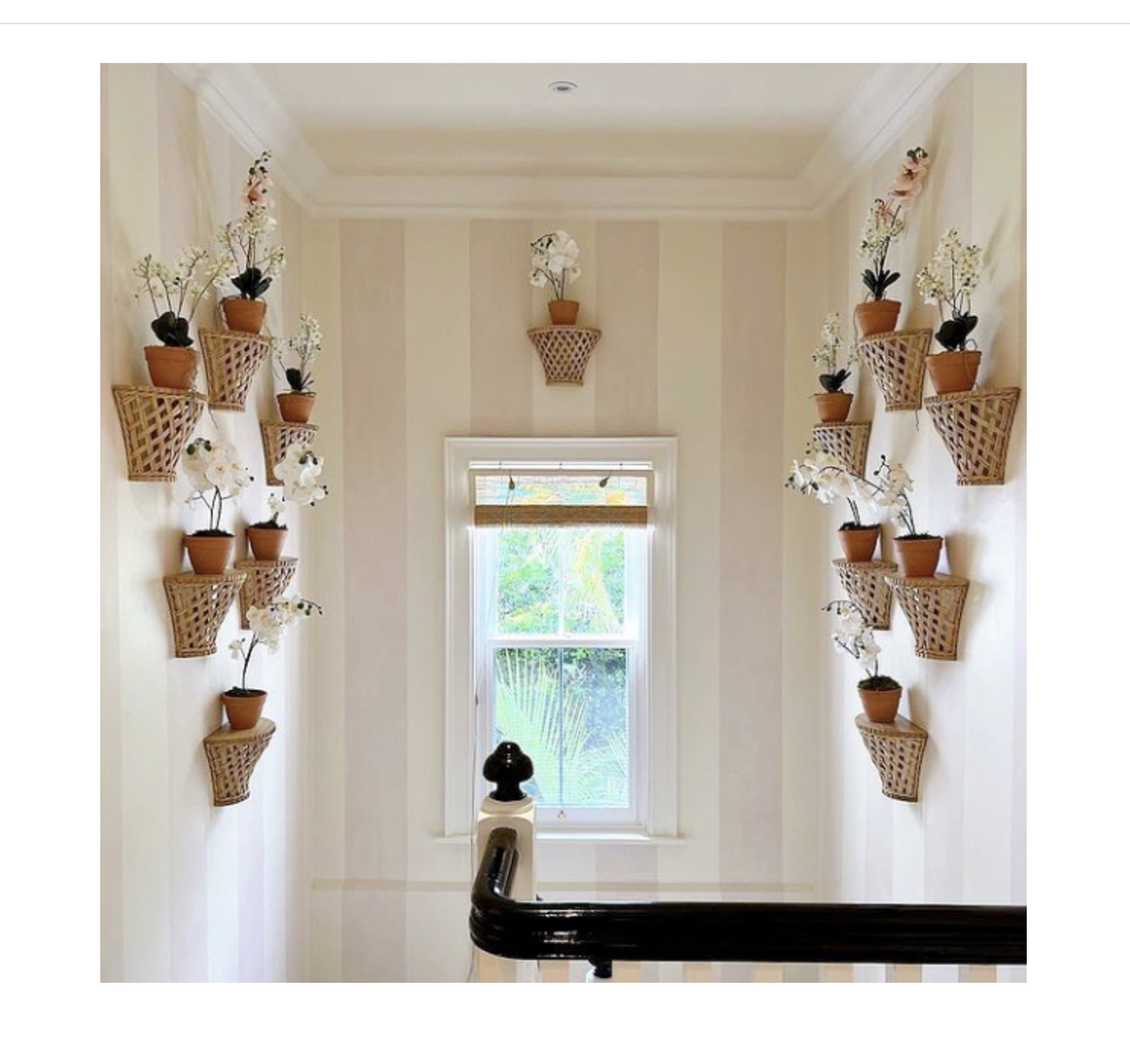 Trellis Wall Bracket