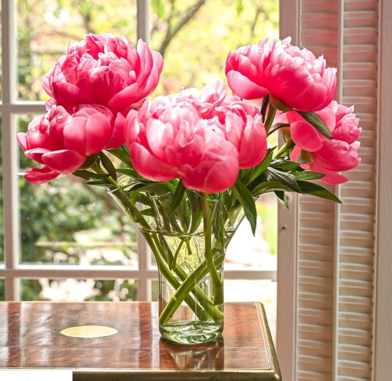 Lettuce Leaf Vase